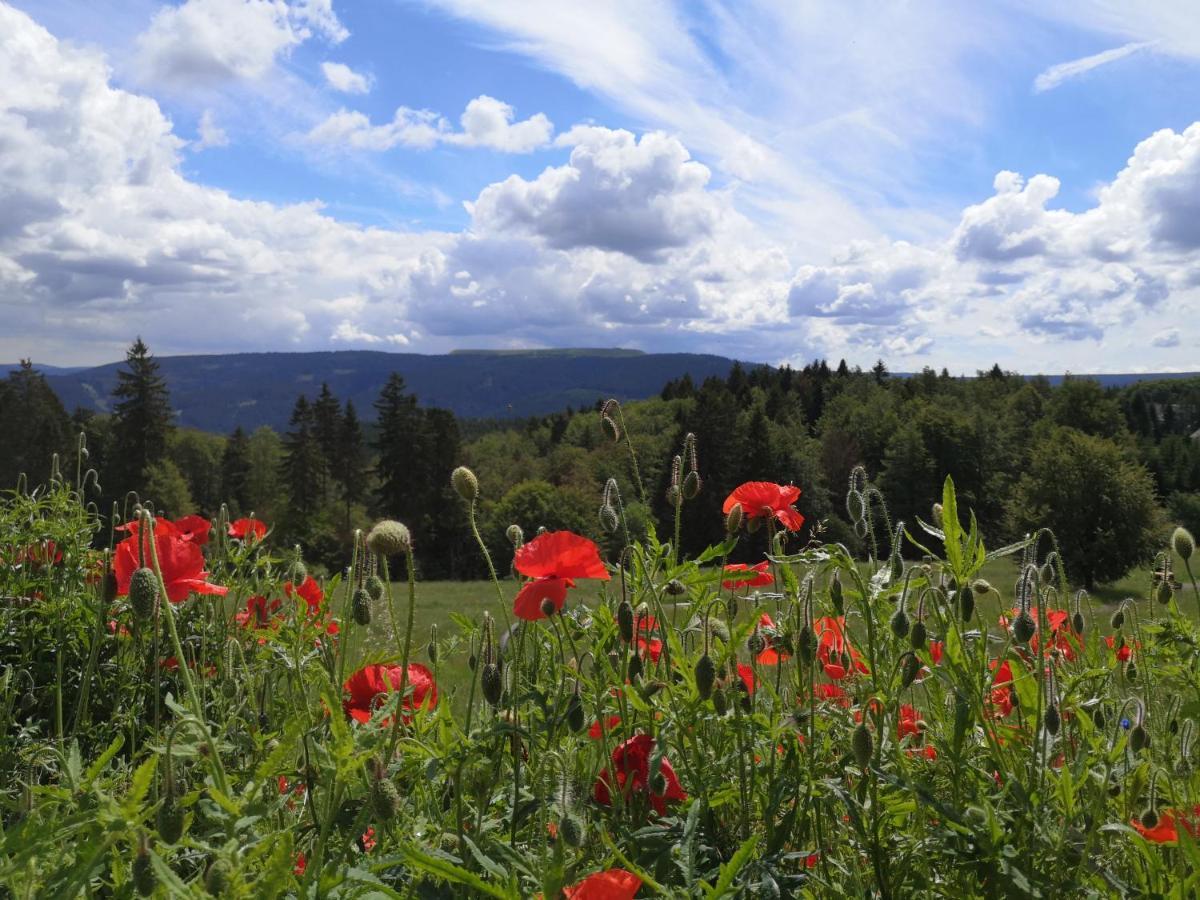 Hotel Schoene Aussicht Masserberg Exteriér fotografie